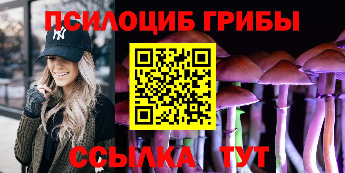 Саянск  Галлюциногенные грибы Psilocybine cubensis  Вход с VPN 